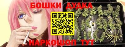 наркотики Будённовск