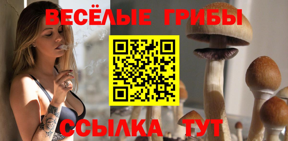 Тольятти  Галлюциногенные грибы Psilocybe  Галлюциногенные грибы Psilocybine cubensis  Вход с VPN 